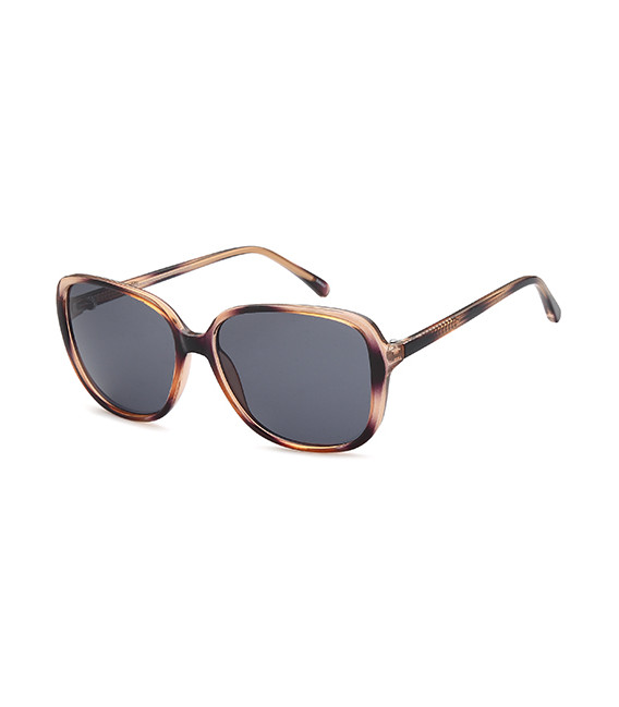 SFE-10850 sunglasses in Purple/Brown