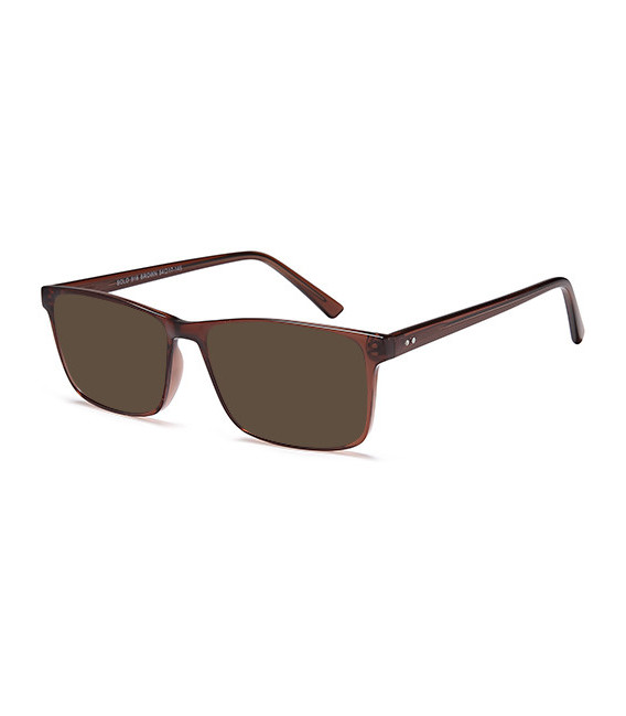 Reading Sunglasses in Brown
