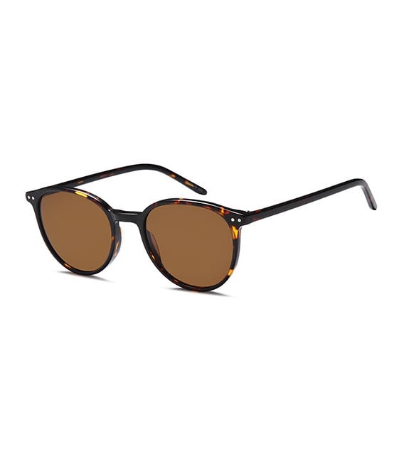 SFE-10834 sunglasses in Havana