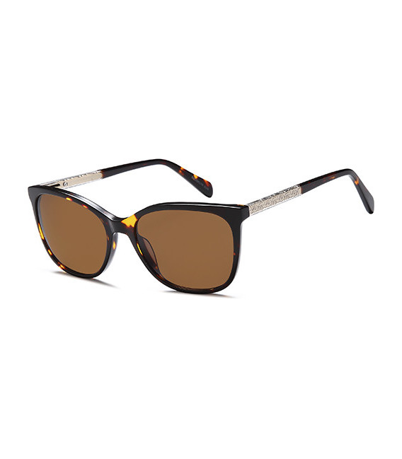 SFE-10838 sunglasses in Havana