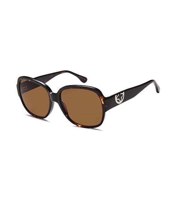 SFE-10839 sunglasses in Havana