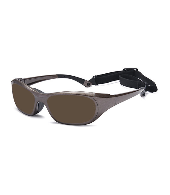 SFE-11015 sunglasses in Grey