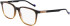 Zeiss ZS22524 glasses in Brown/Caramel Horn