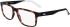 Lacoste L2912 glasses in Matte Havana