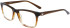 Dragon DR2036 glasses in Shiny Brown Gradient