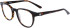 Dragon DR2035 glasses in Shiny Tortoise