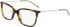 DKNY DK7008 glasses in Tokyo/Green Tortoise