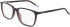 DKNY DK5045 glasses in Crystal Brown