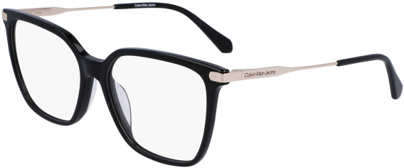 Calvin Klein Jeans CKJ22646 glasses in Black