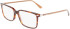 Calvin Klein CK22542 glasses in Tortoise