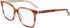 Calvin Klein CK22540-53 glasses in Honey Tortoise