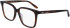 Calvin Klein CK22540-53 glasses in Dark Tortoise