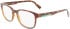 Lacoste L2914 glasses in Dark Havana