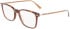 Calvin Klein CK22541-53 glasses in Dark Tortoise