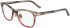 Calvin Klein CK20505 glasses in Taupe/Pink Horn Gradient