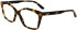 Karl Largerfield KL6064 glasses in Tokyo Havana