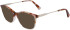 Longchamp LO2683-49 glasses in Textured Brown Gradient