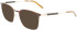 Salvatore Ferragamo SF2566 glasses in Gold/Tortoise