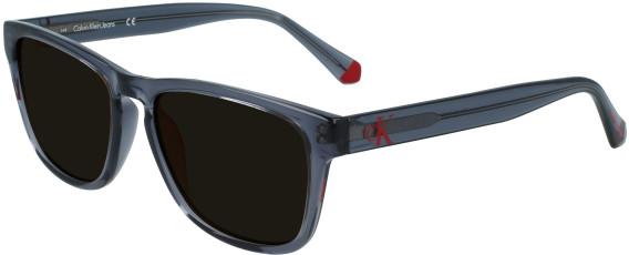 Calvin Klein Jeans CKJ21623S glasses in Gray