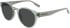 Converse CV509S MALDEN glasses in Crystal light surplus