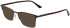 Calvin Klein CK22118 sunglasses in Brown