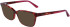 Calvin Klein CK22545 sunglasses in Burgundy Havana