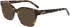 DKNY DK5048 sunglasses in Soft Tokyo Tortoise