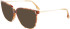 Victoria Beckham VB2640 sunglasses in Light Havana Fade