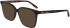 Calvin Klein CK22540-53 sunglasses in Dark Tortoise