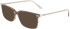 Calvin Klein CK22542 sunglasses in Striped Olive