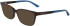 Calvin Klein CK22545 sunglasses in Dark Tortoise