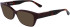 Lacoste L2907 sunglasses in Dark Red