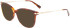 Longchamp LO2691-51 sunglasses in Havana