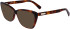 Longchamp LO2705 sunglasses in Havana