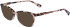 Longchamp LO2708-53 sunglasses in Rose Havana