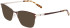 Marchon NYC M-4019 sunglasses in Brown/Gold