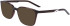 Nike NIKE 7259 sunglasses in Brown Basalt