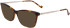 Liu Jo LJ2765 sunglasses in Tortoise