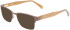 Salvatore Ferragamo SF2222 sunglasses in Matte Brown