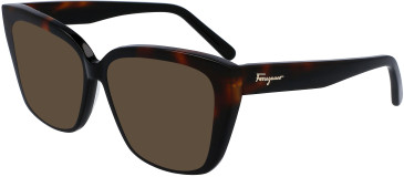 Salvatore Ferragamo SF2939 sunglasses in Black/Tortoise
