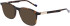 Zeiss ZS22525 sunglasses in Dark Tortoise