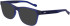 Zeiss ZS22526 sunglasses in Matte Transparent Blue