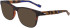 Zeiss ZS22526 sunglasses in Matte Tortoise