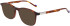 Zeiss ZS22525 sunglasses in Blonde Tortoise