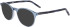 Zeiss ZS22516 sunglasses in Crystal Atlantic