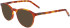 Zeiss ZS22516 sunglasses in Honey Tortoise