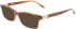 Skaga SK2879 VARAKTIG sunglasses in Striped Brown