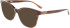 Skaga SK2878 ENGAGEMANG sunglasses in Striped Brown
