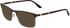 Skaga SK2146 INNOVATION-57 sunglasses in Brown