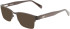 Salvatore Ferragamo SF2222 sunglasses in Matte Black